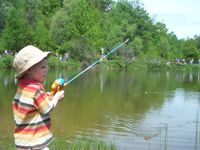 Learning How To Fish